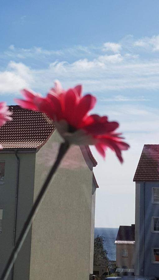 Apartment Deichkrone Sassnitz Luaran gambar